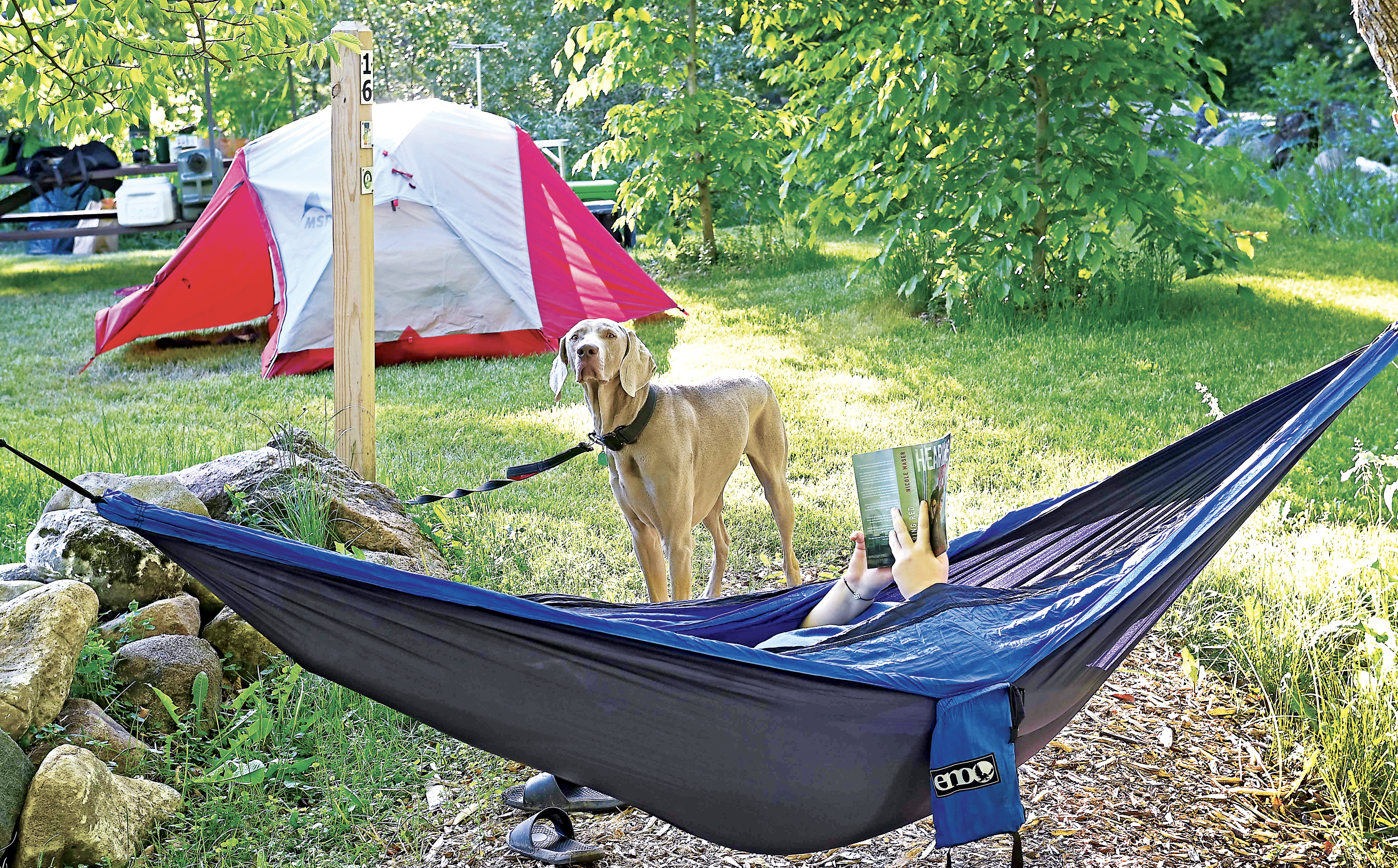 County to invest in popular Waubedonia Park